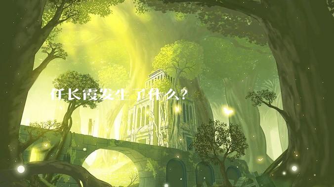 任长霞发生了什么？