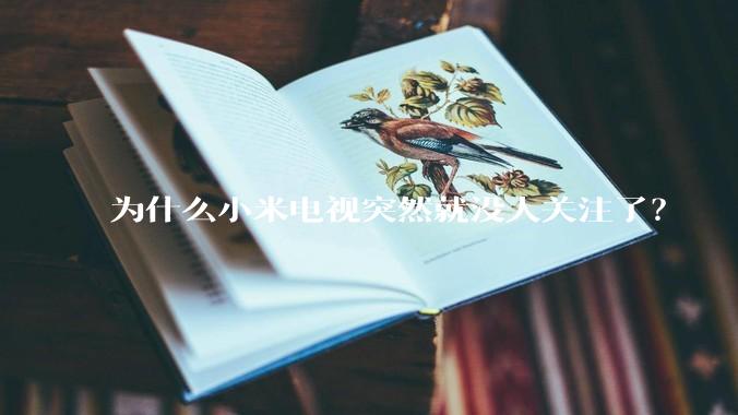 为什么小米电视突然就没人关注了？